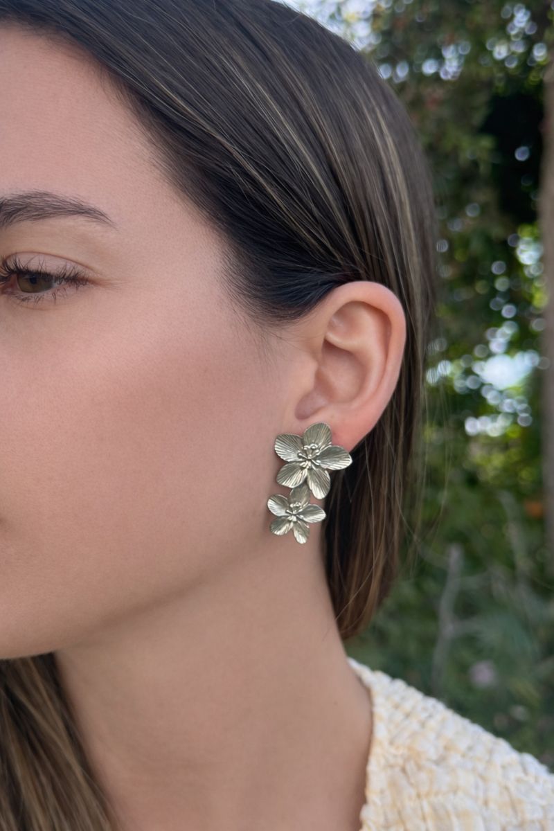 Aro Fiora Doppio plata